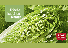 frische_2026