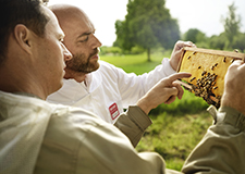 rewe_NH_2025